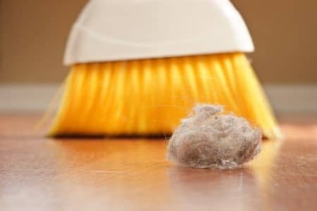 reduce dust, get rid of dust in my home