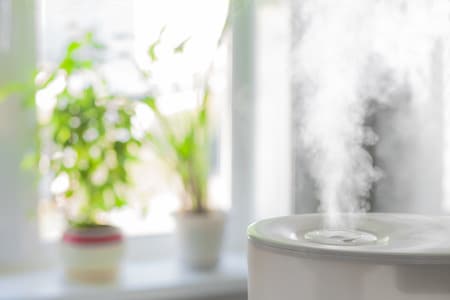 Why Use Humidifiers During Winter